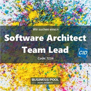 Software Architect / Team Lead